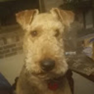 Meet your Posher, Kylen